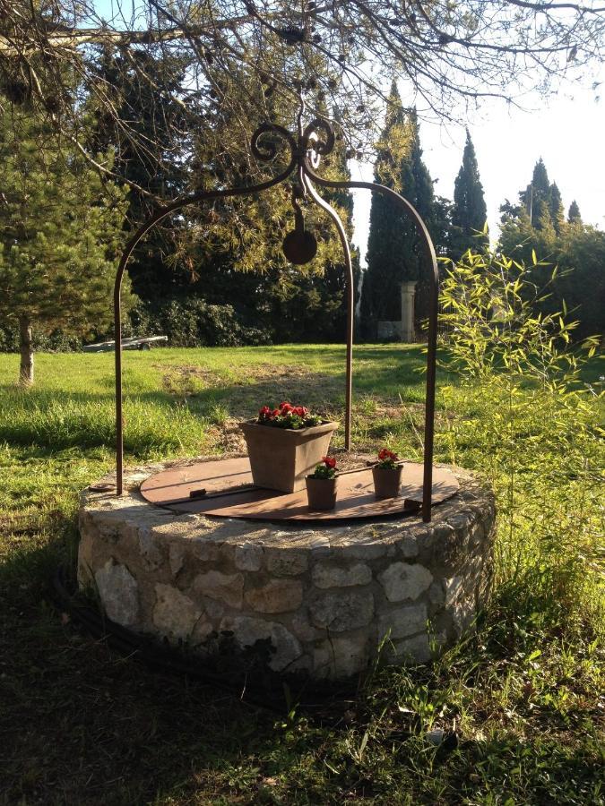 Suite De L'Olivier Au Mas Au Coeur De La Provence &Spa Saint-Cannat Cameră foto